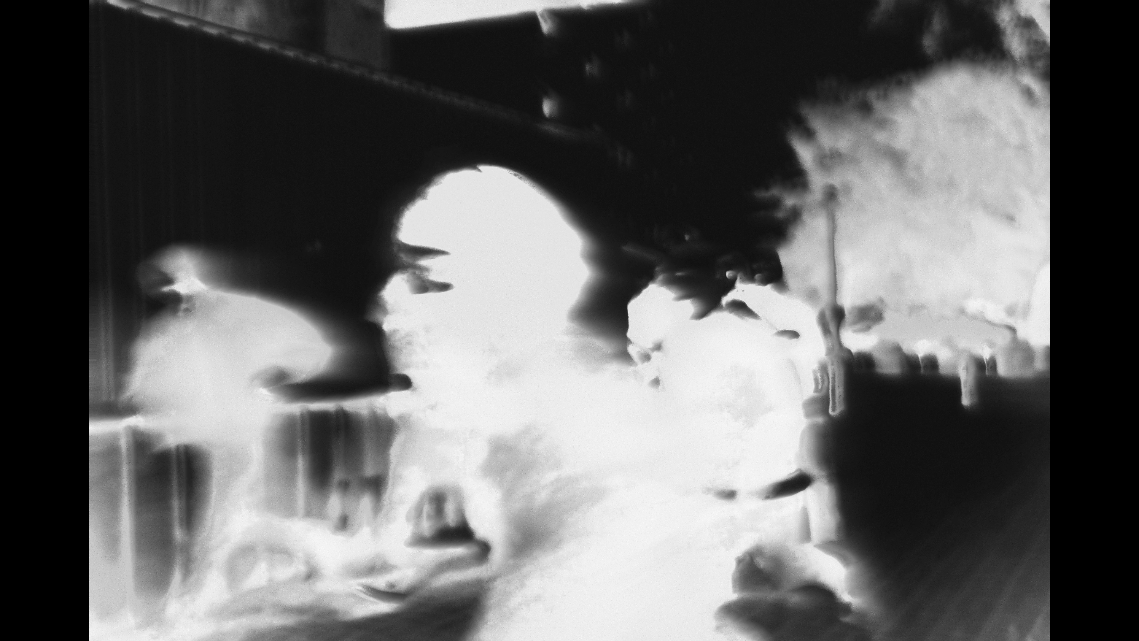 Side profile portrait of a woman
